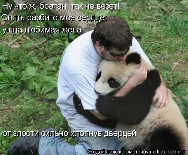 Ну что ж, братан, так не везет! Опять разбито мое сердце: ушла любимая жена от злости сильно хлопнув ... Котоматрица: Ну что ж, братан, так не везет! Опять разбито мое сердце: ушла любимая жена от злости сильно хлопнув дверцей