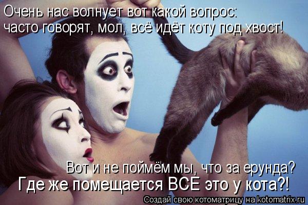 Очень нас волнует вот какой вопрос: часто говорят, мол, всё идёт коту под хвост! Вот и не поймём мы, ... Котоматрица: Очень нас волнует вот какой вопрос: часто говорят, мол, всё идёт коту под хвост! Вот и не поймём мы, что за ерунда? Где же помещается ВСЕ это у