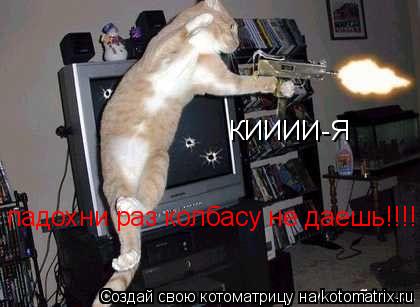 КИИИИ-Я падохни раз колбасу не даешь!!!!!... Котоматрица: КИИИИ-Я падохни раз колбасу не даешь!!!!!