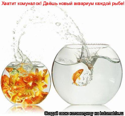 Хватит комуналок! Даёшь новый аквариум каждой рыбе!... Котоматрица: Хватит комуналок! Даёшь новый аквариум каждой рыбе!