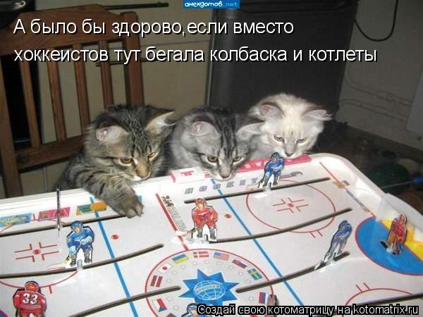 А было бы здорово,если вместо хоккеистов тут бегала колбаска и котлеты... Котоматрица: А было бы здорово,если вместо хоккеистов тут бегала колбаска и котлеты