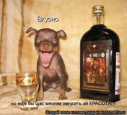Вкусно но еще бы щас мяском закусить ой КРАСОТА!!!... Котоматрица: Вкусно но еще бы щас мяском закусить ой КРАСОТА!!!