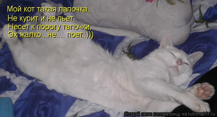 Мой кот такая лапочка, Не курит и не пьет, Несет к порогу тапочки, Эх жалко...не.... поет.:)))... Котоматрица: Мой кот такая лапочка, Не курит и не пьет, Несет к порогу тапочки, Эх жалко...не.... поет.:)))
