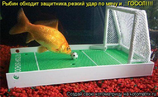 Рыбин обходит защитника,резкий удар по мячу и ...ГОООЛ!!!!... Котоматрица: Рыбин обходит защитника,резкий удар по мячу и ...ГОООЛ!!!!