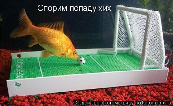 Спорим попаду хих... Котоматрица: Спорим попаду хих