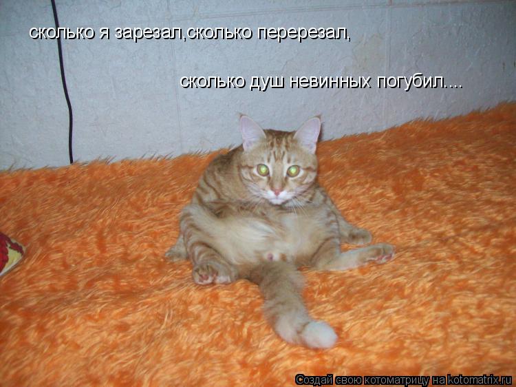 сколько я зарезал,сколько перерезал, сколько душ невинных погубил....... Котоматрица: сколько я зарезал,сколько перерезал, сколько душ невинных погубил....