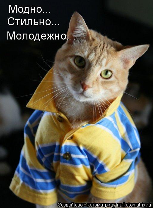 Модно... Стильно... Молодежно...... Котоматрица: Модно... Стильно... Молодежно...