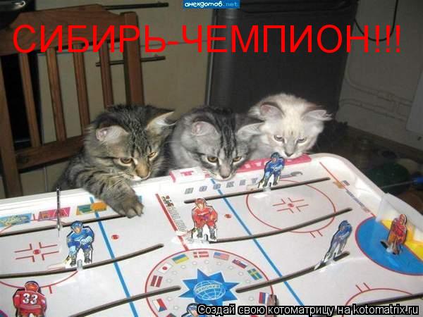 СИБИРЬ-ЧЕМПИОН!!!... Котоматрица: СИБИРЬ-ЧЕМПИОН!!!