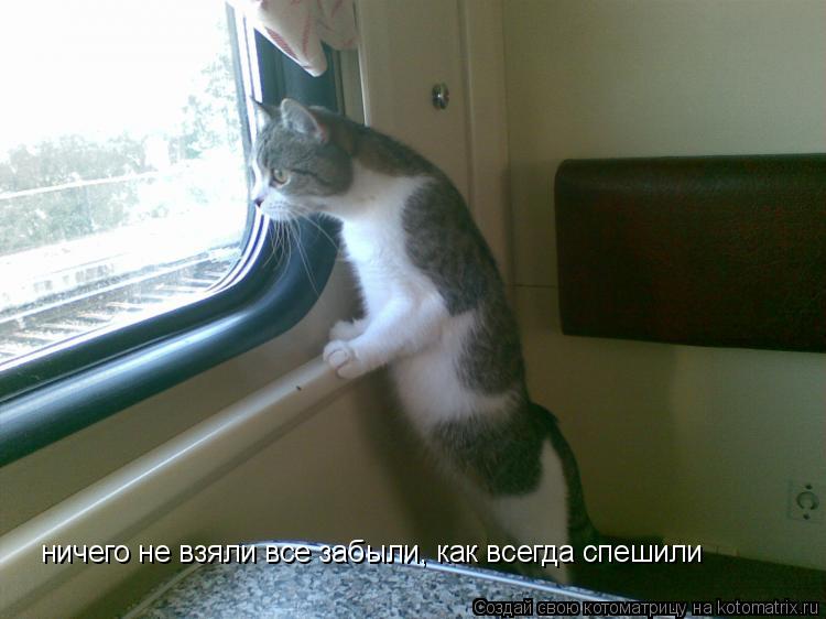 ничего не взяли все забыли, как всегда спешили... Котоматрица: ничего не взяли все забыли, как всегда спешили