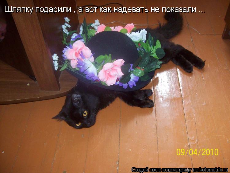 Шляпку подарили , а вот как надевать не показали ...... Котоматрица: Шляпку подарили , а вот как надевать не показали ...