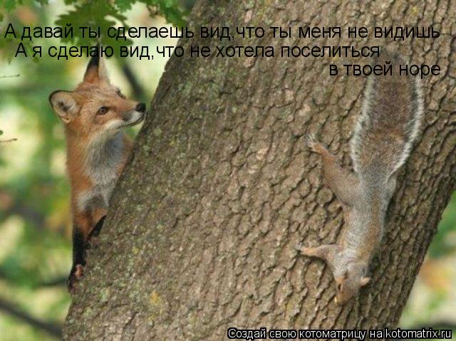 А давай ты сделаешь вид,что ты меня не видишь А я сделаю вид,что не хотела поселиться в твоей норе... Котоматрица: А давай ты сделаешь вид,что ты меня не видишь А я сделаю вид,что не хотела поселиться в твоей норе