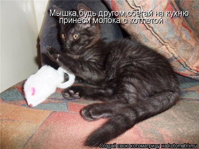 Мышка,будь другом,сбегай на кухню принеси молока с котлетой... Котоматрица: Мышка,будь другом,сбегай на кухню принеси молока с котлетой