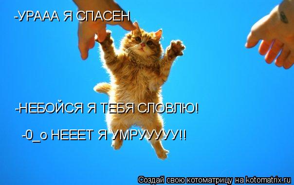 -УРААА Я СПАСЕН -НЕБОЙСЯ Я ТЕБЯ СЛОВЛЮ! -0 -0_о НЕЕЕТ Я УМРУУУУУ!!... Котоматрица: -УРААА Я СПАСЕН -НЕБОЙСЯ Я ТЕБЯ СЛОВЛЮ! -0 -0_о НЕЕЕТ Я УМРУУУУУ!!