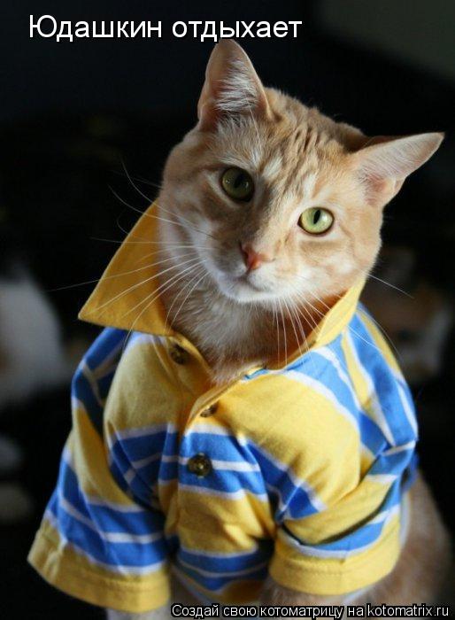 Юдашкин отдыхает... Котоматрица: Юдашкин отдыхает