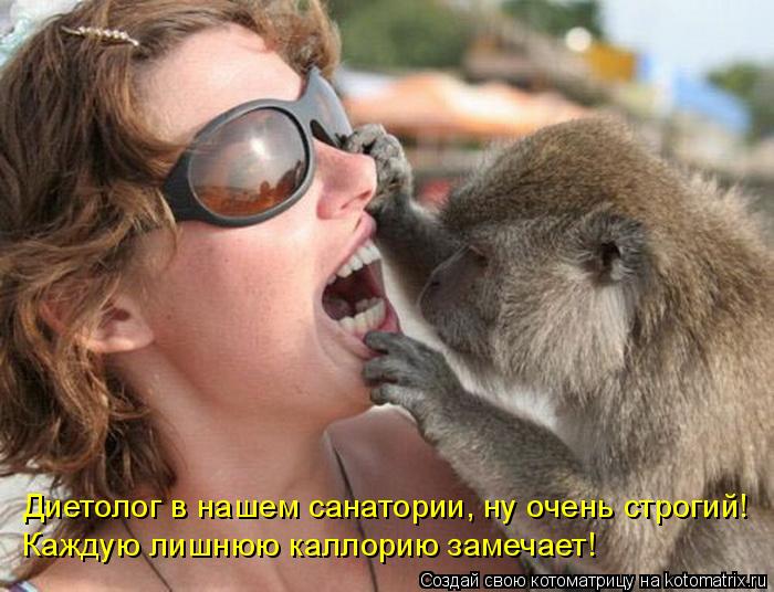 Диетолог в нашем санатории, ну очень строгий! Каждую лишнюю каллорию замечает!... Котоматрица: Диетолог в нашем санатории, ну очень строгий! Каждую лишнюю каллорию замечает!