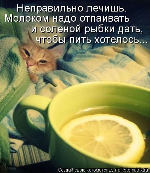 Неправильно лечишь. Молоком надо отпаивать и соленой рыбки дать, чтобы пить хотелось...... Котоматрица: Неправильно лечишь. Молоком надо отпаивать и соленой рыбки дать, чтобы пить хотелось...