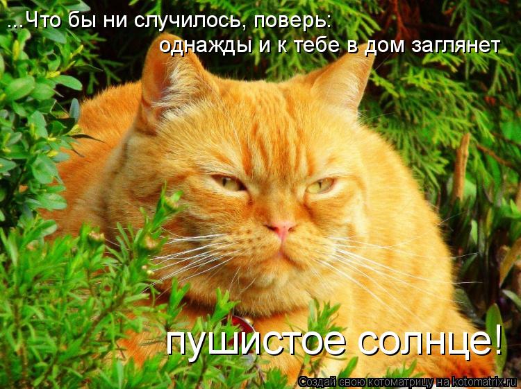 ...Что бы ни случилось, поверь: однажды и к тебе в дом заглянет пушистое солнце!... Котоматрица: ...Что бы ни случилось, поверь: однажды и к тебе в дом заглянет пушистое солнце!