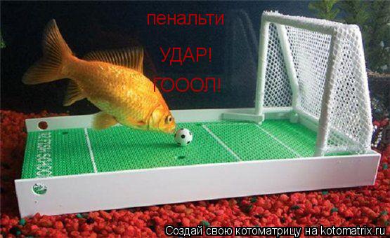 пенальти УДАР! ГОООЛ!... Котоматрица: пенальти УДАР! ГОООЛ!