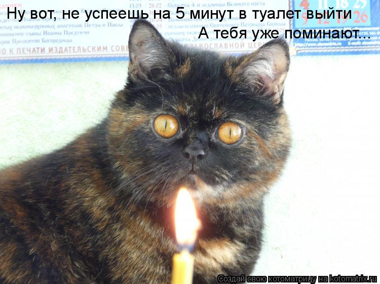 Ну вот, не успеешь на 5 минут в туалет выйти А тебя уже поминают...... Котоматрица: Ну вот, не успеешь на 5 минут в туалет выйти А тебя уже поминают...
