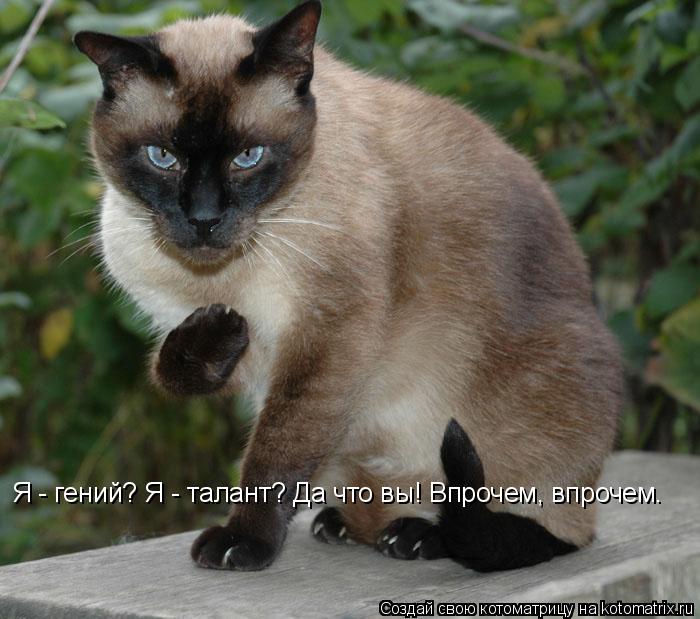 Я - гений? Я - талант? Да что вы! Впрочем, впрочем…... Котоматрица: Я - гений? Я - талант? Да что вы! Впрочем, впрочем…