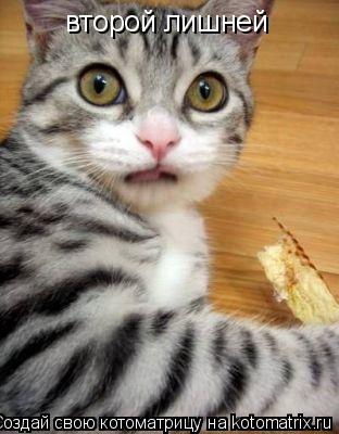 второй лишней... Котоматрица: второй лишней