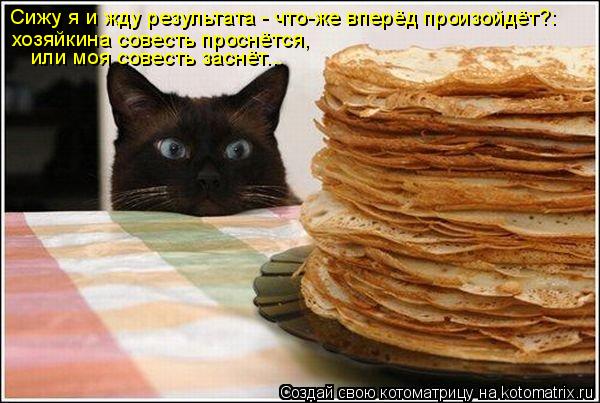 Сижу я и жду результата - что-же вперёд произойдёт?: хозяйкина совесть проснётся, или моя совесть за... Котоматрица: Сижу я и жду результата - что-же вперёд произойдёт?: хозяйкина совесть проснётся, или моя совесть заснёт...