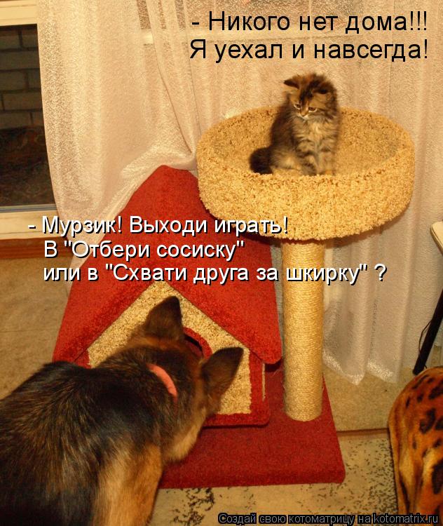 - Мурзик! Выходи играть! В "Отбери сосиску" или в "Схвати друга за шкирку" ? - Никого нет дома!!! Я ... Котоматрица: - Мурзик! Выходи играть! В "Отбери сосиску" или в "Схвати друга за шкирку" ? - Никого нет дома!!! Я уехал и навсегда!