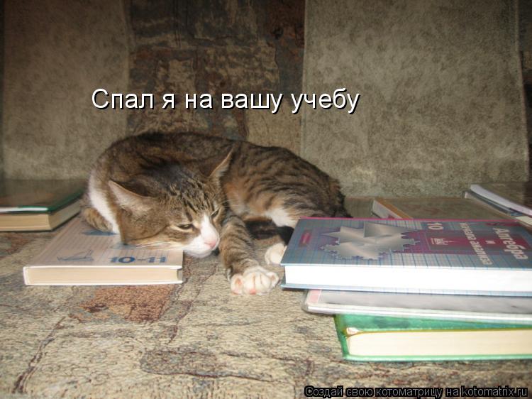 Спал я на вашу учебу... Котоматрица: Спал я на вашу учебу