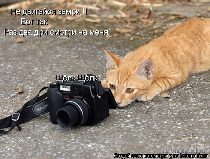 Не двигайся замри !!! Вот так Раз два дри смотри на меня Щёлк Щёлк... Котоматрица: Не двигайся замри !!! Вот так Раз два дри смотри на меня Щёлк Щёлк