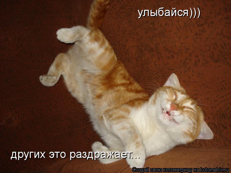 улыбайся))) других это раздражает...... Котоматрица: улыбайся))) других это раздражает...