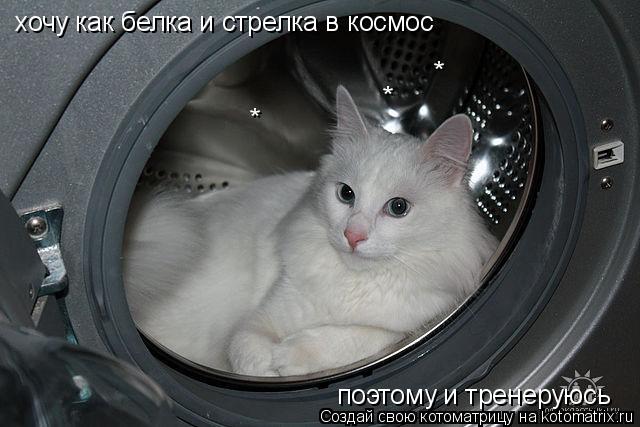 хочу как белка и стрелка в космос поэтому и тренеруюсь * * *... Котоматрица: хочу как белка и стрелка в космос поэтому и тренеруюсь * * *
