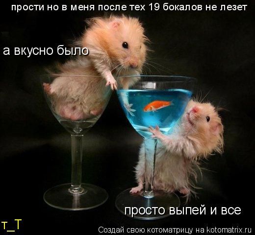 просто выпей и все т_Т прости но в меня после тех 19 бокалов не лезет а вкусно было... Котоматрица: просто выпей и все т_Т прости но в меня после тех 19 бокалов не лезет а вкусно было