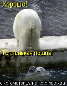 Хорошо! Тёпленькая пошла!... Котоматрица: Хорошо! Тёпленькая пошла!
