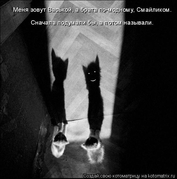 ( . . Меня зовут Васькой, а брата по-модному, Смайликом. Сначала подумали бы, а потом называли.... Котоматрица: ( . . Меня зовут Васькой, а брата по-модному, Смайликом. Сначала подумали бы, а потом называли.