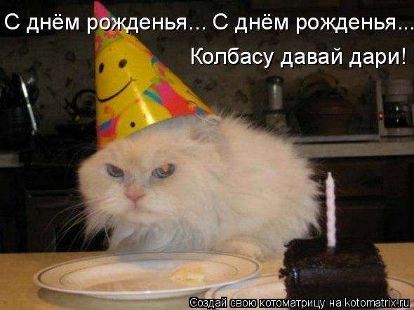 С днём рожденья... С днём рожденья... Колбасу давай дари!... Котоматрица: С днём рожденья... С днём рожденья... Колбасу давай дари!