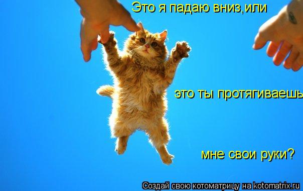 Это я падаю вниз,или это ты протягиваешь мне свои руки?... Котоматрица: Это я падаю вниз,или это ты протягиваешь мне свои руки?