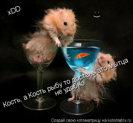 Кость, а Кость рыбу то достань ато мытца не удобно xDD ( :... Котоматрица: Кость, а Кость рыбу то достань ато мытца не удобно xDD ( :
