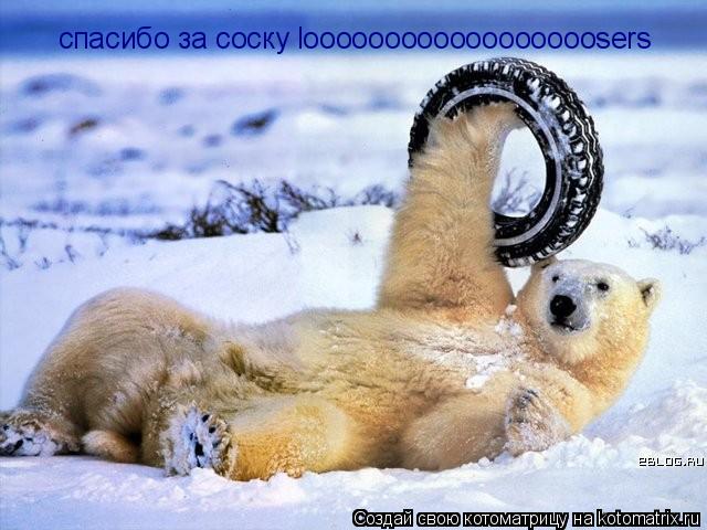 спасибо за соску loooooooooooooooooosers... Котоматрица: спасибо за соску loooooooooooooooooosers