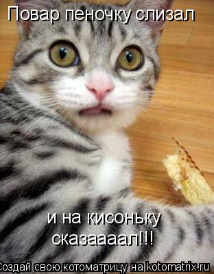 Повар пеночку слизал и на кисоньку сказаааал!!!... Котоматрица: Повар пеночку слизал и на кисоньку сказаааал!!!