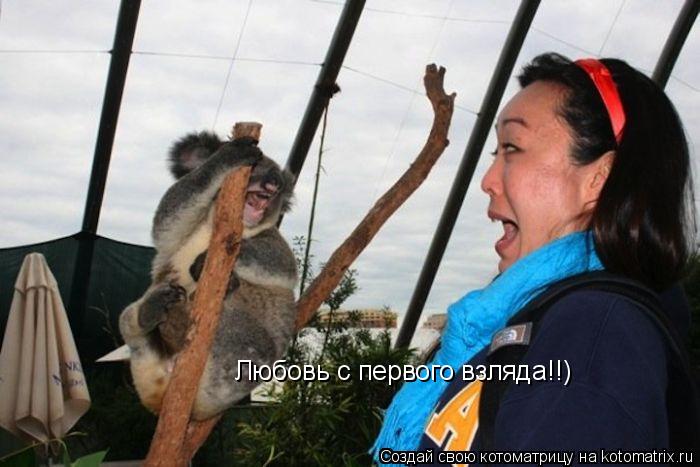Любовь с первого взляда!!)... Котоматрица: Любовь с первого взляда!!)
