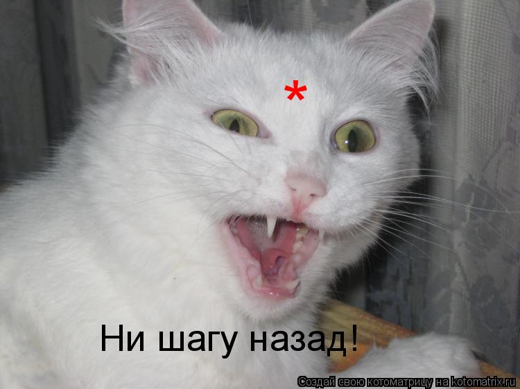 Ни шагу назад! *... Котоматрица: Ни шагу назад! *