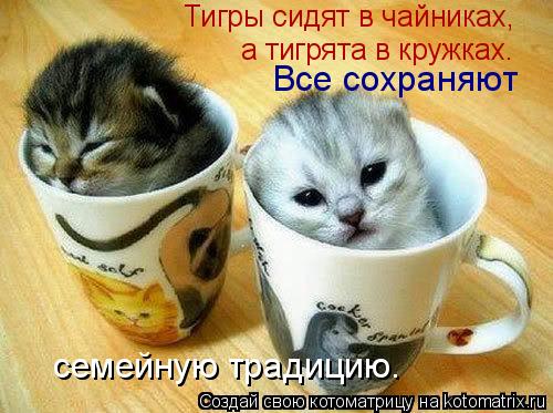 Тигры сидят в чайниках, а тигрята в кружках. Все сохраняют семейную традицию.... Котоматрица: Тигры сидят в чайниках, а тигрята в кружках. Все сохраняют семейную традицию.