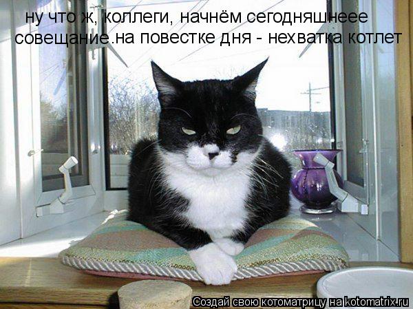 ну что ж, коллеги, начнём сегодняшнеее совещание . на повестке дня - нехватка котлет... Котоматрица: ну что ж, коллеги, начнём сегодняшнеее совещание . на повестке дня - нехватка котлет