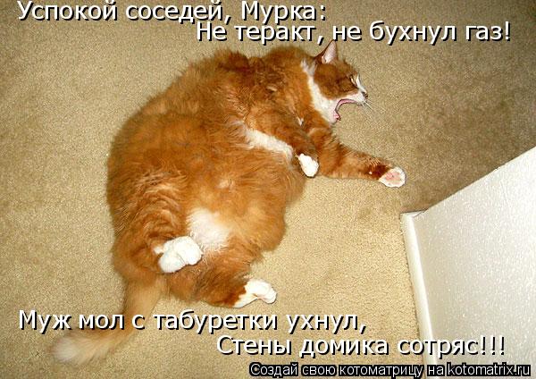 Успокой соседей, Мурка: Не теракт, не бухнул газ! Муж мол с табуретки ухнул, Стены домика сотряс!!!... Котоматрица: Успокой соседей, Мурка: Не теракт, не бухнул газ! Муж мол с табуретки ухнул, Стены домика сотряс!!!