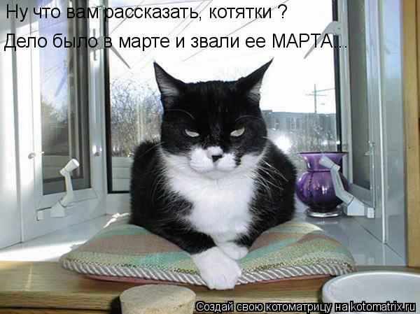 Ну что вам рассказать, котятки ? Дело было в марте и звали ее МАРТА...... Котоматрица: Ну что вам рассказать, котятки ? Дело было в марте и звали ее МАРТА...