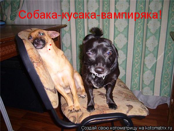 . . v v Собака-кусака-вампиряка!... Котоматрица: . . v v Собака-кусака-вампиряка!