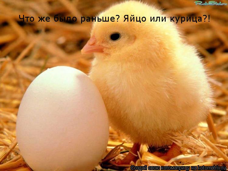 Что же было раньше? Яйцо или курица?!... Котоматрица: Что же было раньше? Яйцо или курица?!