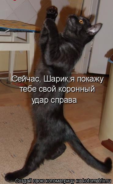 Сейчас, Шарик,я покажу тебе свой коронный удар справа... Котоматрица: Сейчас, Шарик,я покажу тебе свой коронный удар справа