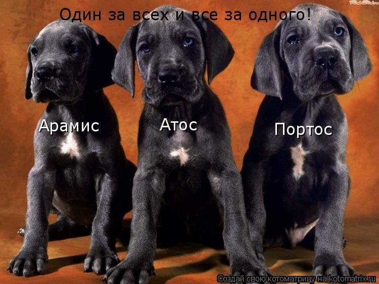 Один за всех и все за одного! Атос Портос Арамис... Котоматрица: Один за всех и все за одного! Атос Портос Арамис