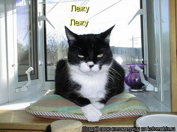 Лежу Лежу... Котоматрица: Лежу Лежу